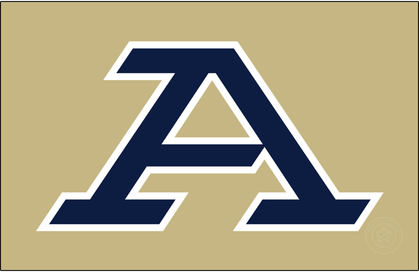 Akron Zips 2022-Pres Primary Dark Logo v2 diy DTF decal sticker